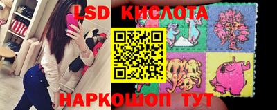 apvp Кунгур
