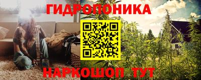 apvp Кунгур