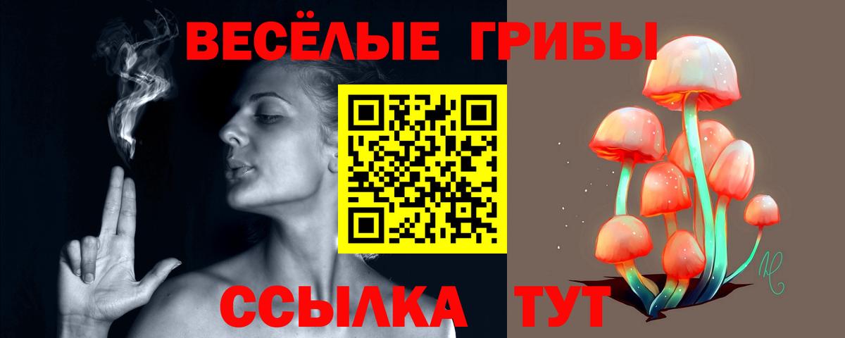 Галлюциногенные грибы Psilocybe  Вход с VPN  Сорочинск 